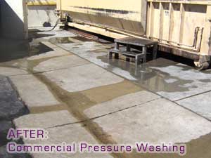 Pressure Washing Testimonial