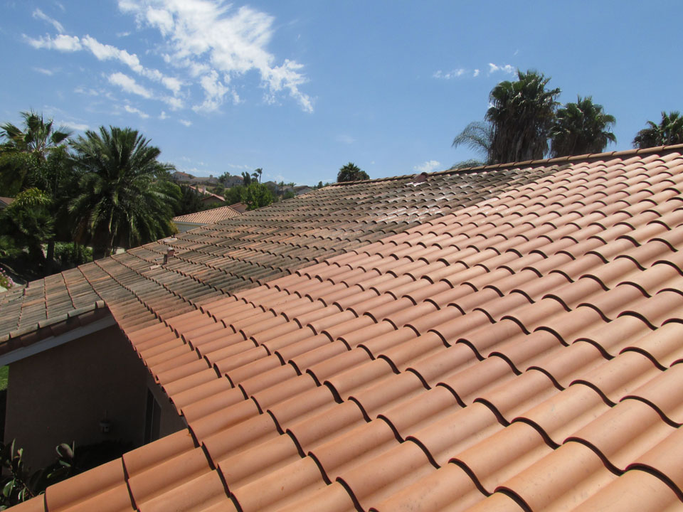 Roof Cleaning Before & After