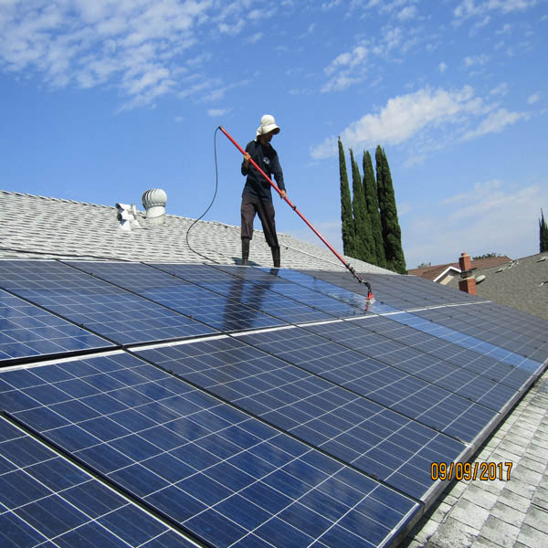 Solar Panel Cleaning